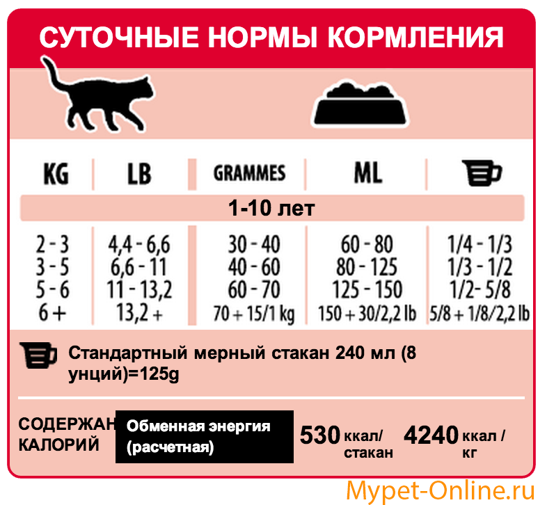 Количество корма кошке в день. Норма еды для кота 5 кг суточная. Норма корма суточная корм для кошек. Норма питания кота в сутки сухой корм. Суточная норма корма для кошек 4 кг.